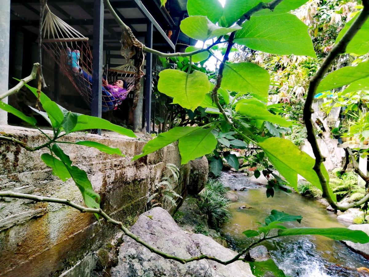 แม่อุ๊ยโฮมสเตย์&Mae Uai Homestay Ban Pok Nai 外观 照片